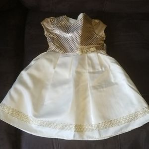 Toddler girls fancy dress